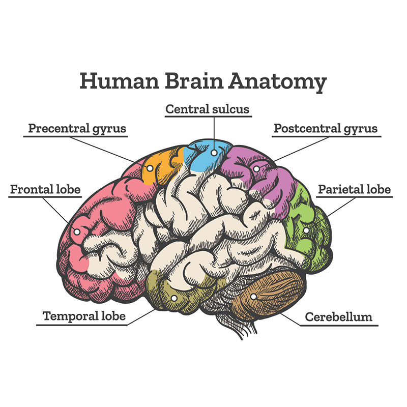 Traumatic Brain Injuries